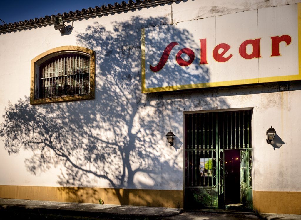 Barbadillo garantiza a sus viticultores la compra de uva en esta vendimia - Gastronomía y Moda