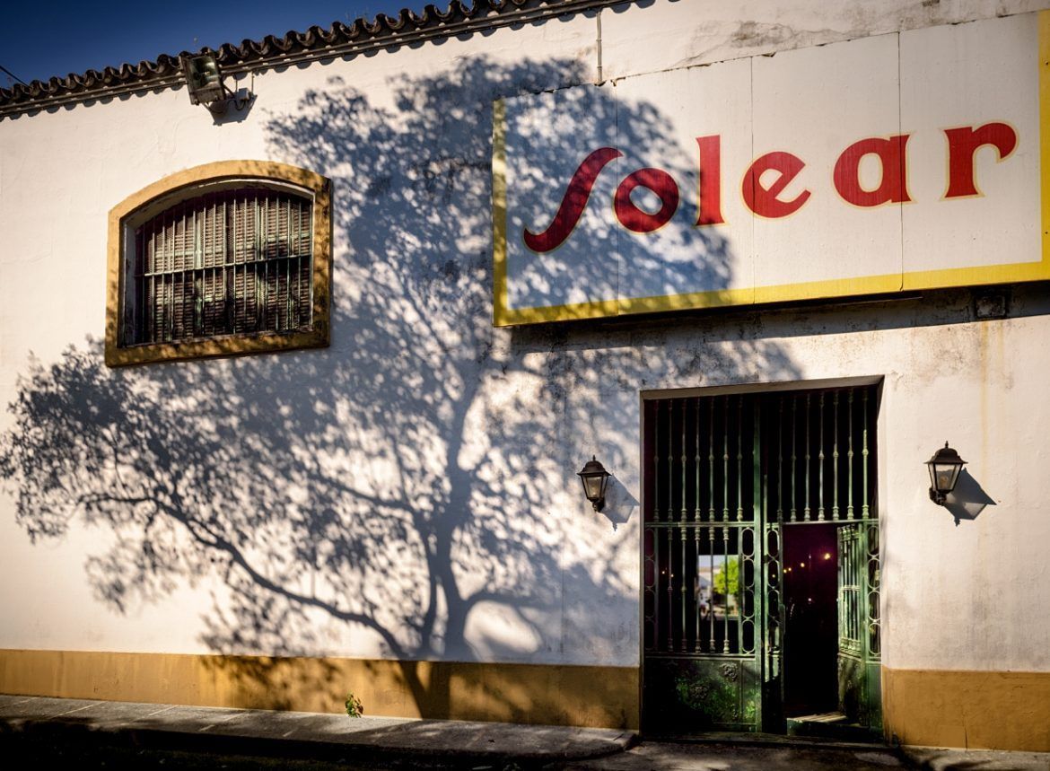 Barbadillo garantiza a sus viticultores la compra de uva en esta vendimia Barbadillo garantiza a sus viticultores la compra de uva en esta vendimia - Gastronomía y Moda