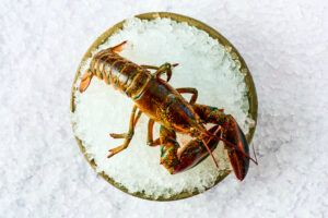 Barbillón Marbella estrena temporada y se consolida como uno de los grandes destinos gastronómicos frente al Mediterráneo - Gastronomía y Moda