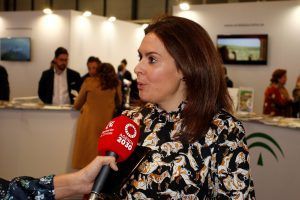 La Diputación de Córdoba lanza la campaña ‘Comienza aquí tu viaje…Córdoba mágica’, con un mayor apuesta por el turismo de cercanía y el mercado nacional - Gastronomía y Moda