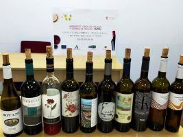 Extenda fomenta junto a la D.O el conocimiento de los “vinos de Málaga” en Japón - Gastronomía y Moda