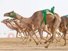 Arabia Saudí: destino ideal para practicar deporte - Gastronomía y Moda