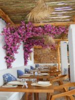 Can Vella: pasión gastronómica en Ibiza frente al mar - Gastronomía y Moda