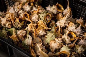 Marisquería El Cantábrico, los mejores mariscos del madrileño barrio de Salamanca - Gastronomía y Moda