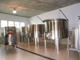 Saborea y degusta Formentera… ¡A través de sus vinos! - Gastronomía y Moda