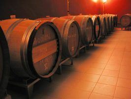 Saborea y degusta Formentera… ¡A través de sus vinos! - Gastronomía y Moda