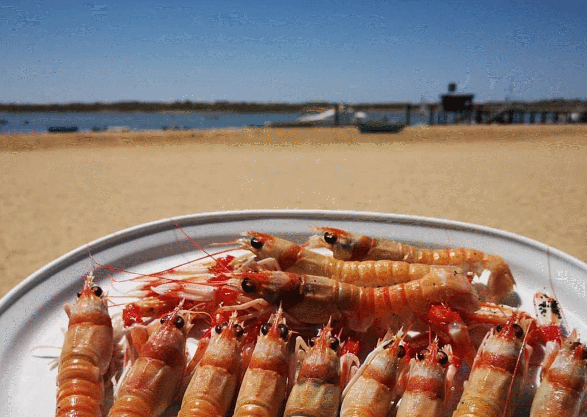 Grupo El Palo obtiene un Solete Repsol para el restaurante Casa el Palo, el segundo tras el de La Patera Grupo El Palo obtiene un Solete Repsol para el restaurante Casa el Palo, el segundo tras el de La Patera - Gastronomía y Moda