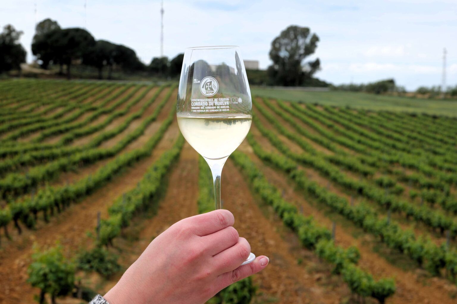 Los vinos del Condado de Huelva consolidan su reconocimiento en la Guía Peñín 2025 tras cinco años de crecimiento - Gastronomía y Moda