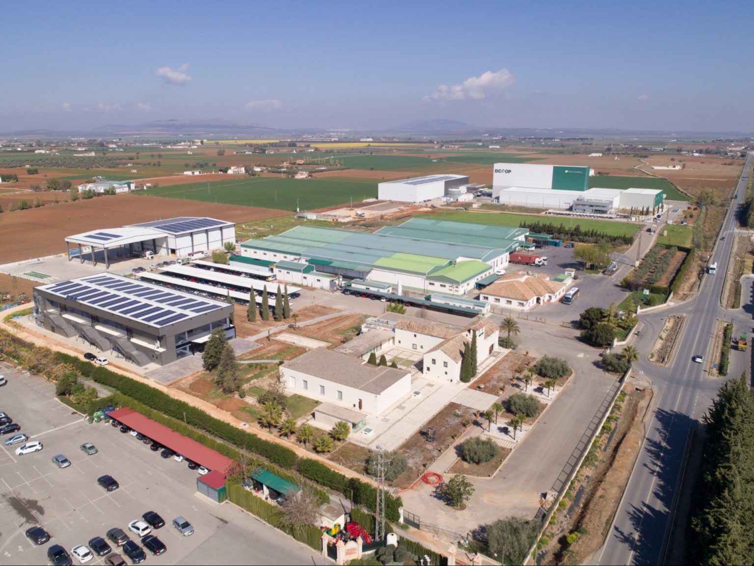 La cooperativa andaluza Dcoop factura 1.409 millones de euros en 2023 - Gastronomía y Moda