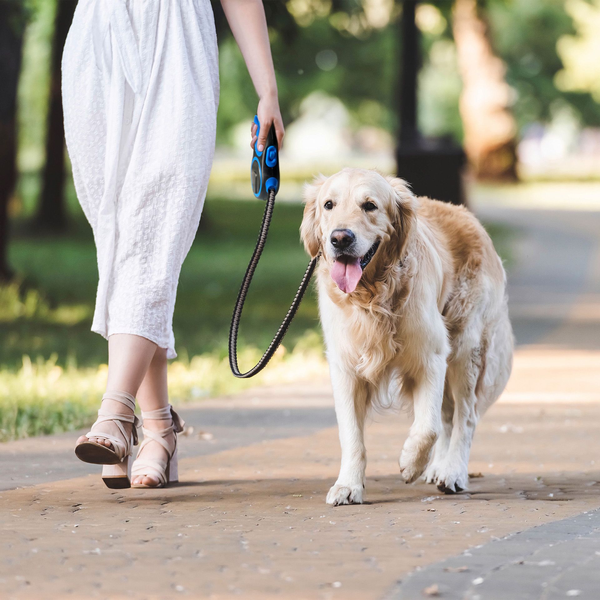 ALDI lanza este verano 2025 el helado para perros por solo 1,29 euros - Gastronomía y Moda