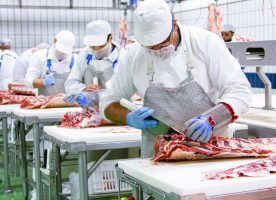 Corte Selecto lanza el pack de los 10 cortes más premium del cerdo ibérico para celebrar el Día del Padre - Gastronomía y Moda