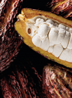 Cacao Barry presenta en España Whole Fruit, una de las novedades más importantes de los últimos años - Gastronomía y Moda