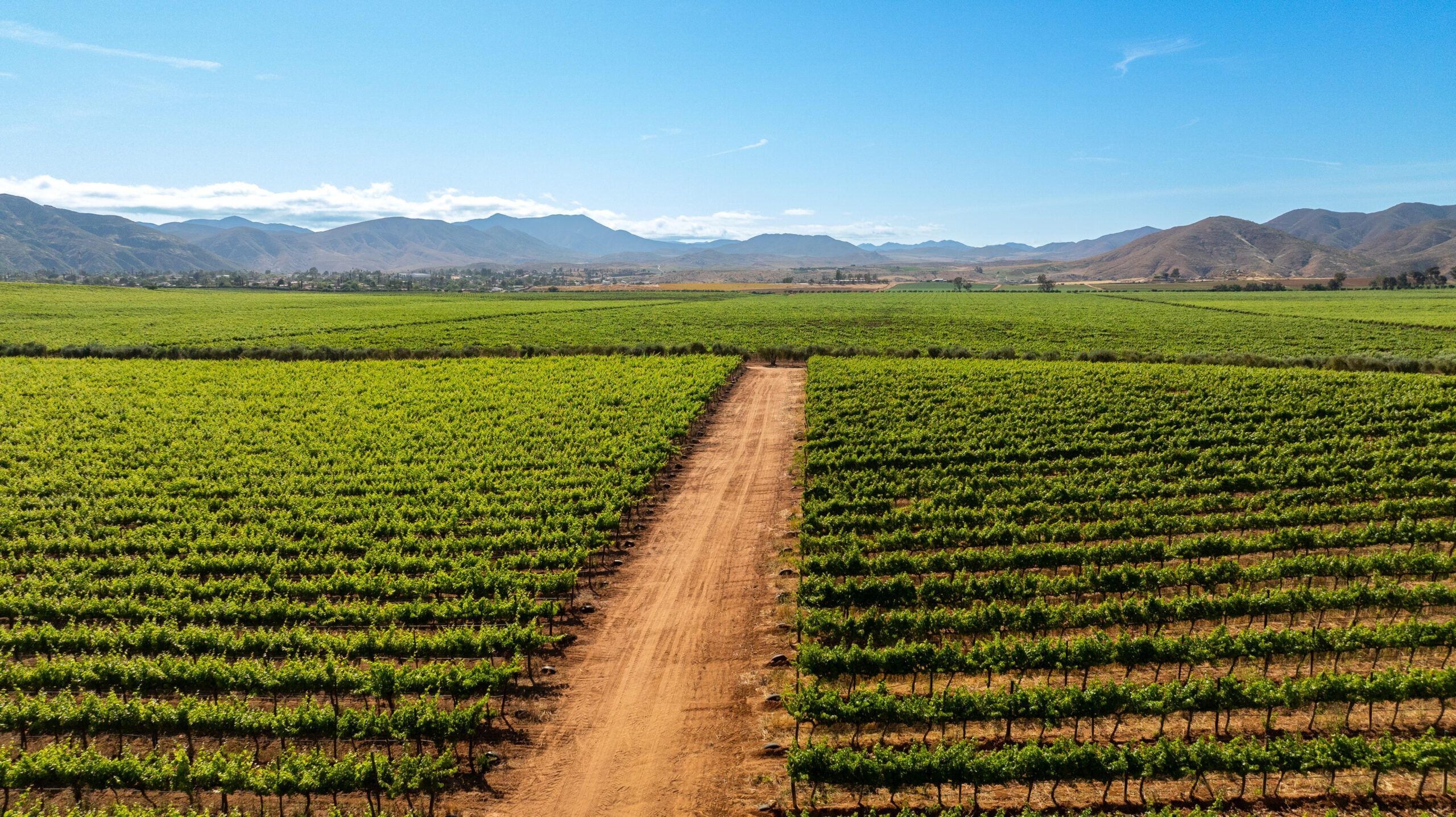 Baja California se posiciona en FITUR Madrid 2026 como uno de los grandes destinos gastronómicos de México avalados por la Guía Michelin - Gastronomía y Moda