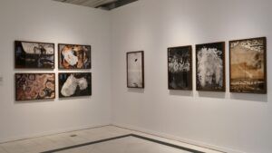 Háptica, la exposición de Joan Fontcuberta que cuestiona la imagen digital llega a Sevilla - Gastronom,ía y Moda
