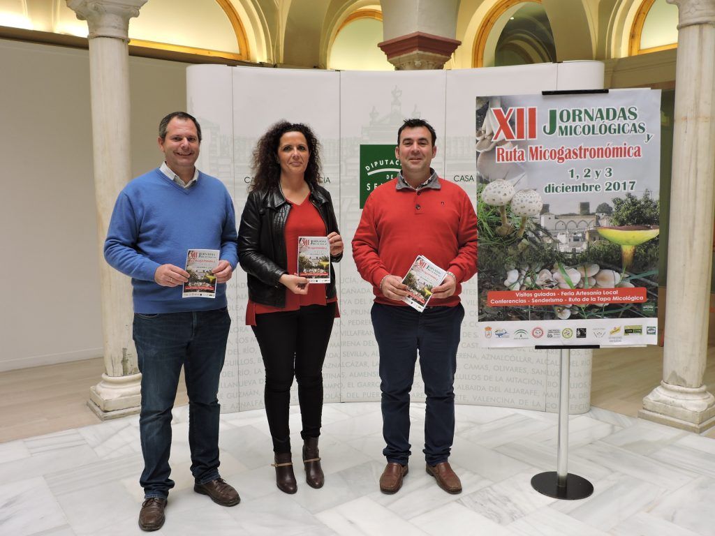 Las setas centran la actividad gastronómica en unas jornadas en La Puebla de los Infantes