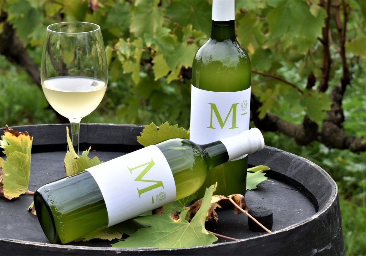 El Mosto de Bodegas Salado: Más que una bebida, una tradición El Mosto de Bodegas Salado: Más que una bebida, una tradición - Gastronomía y Moda