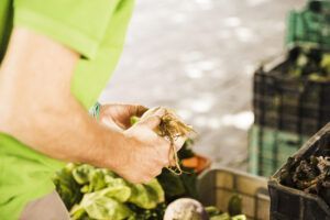 Phenix alerta sobre el aumento del desperdicio alimentario en Navidad y propone soluciones para los supermercados - Gastronomía y Moda