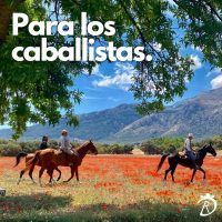 El consejero de la Presidencia, Interior, Diálogo Social y Simplificación Administrativa, Antonio Sanz, durante la presentación del proyecto 'Destino Rocío' en Almonte - Gastronomía y Moda