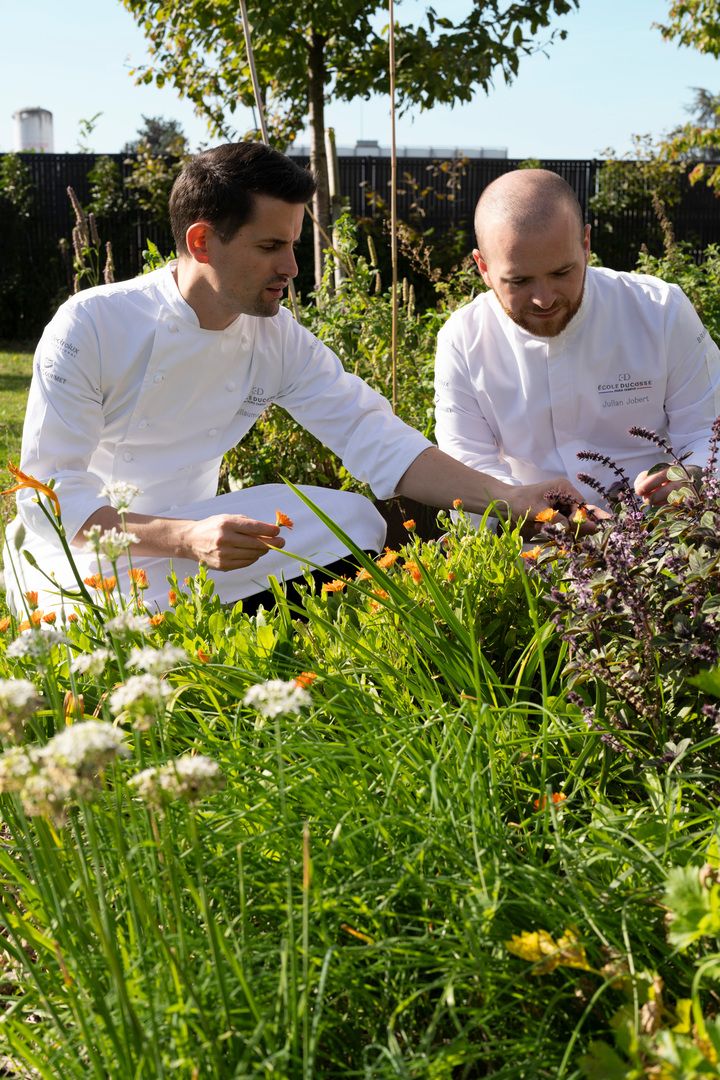 Gastronomía 2026: École Ducasse anticipa una cocina más vegetal, equilibrada y conectada con la naturaleza - Gastronomía y Moda