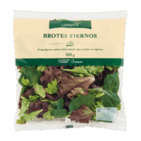 Cuatro ensaladas de verano para triunfar con los quesos de ALDI sin gastar de más - Gastronomía y Moda