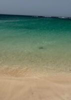 Fuerteventura: sabores fascinantes y excelentes vinos te esperan en Azzurro - Gastronomía y Moda