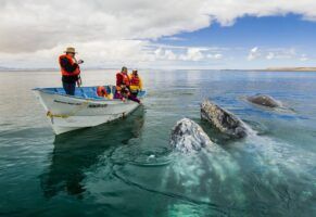 Loreto, "el acuario del mundo", el destino por descubrir en Baja California Sur - Gastronomía y Moda