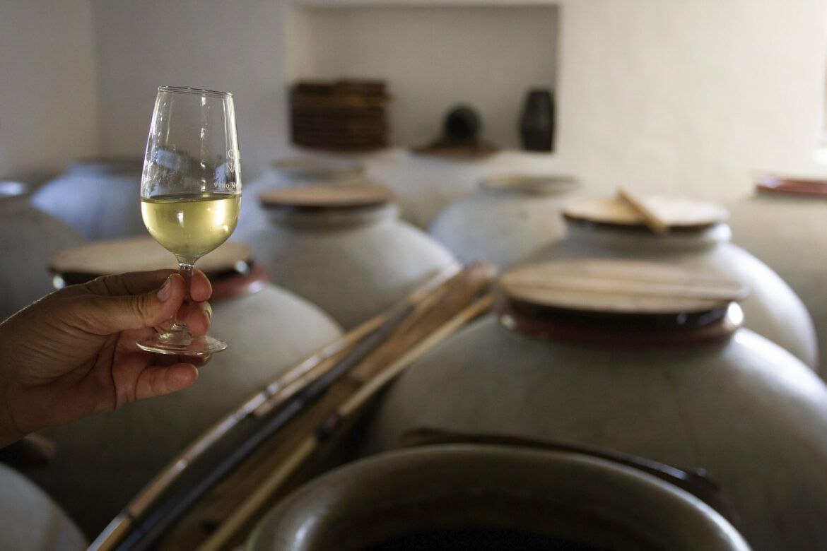 La Diputación de Córdoba presentará, a través de Europe Direct, los vinos Montilla-Moriles La Diputación de Córdoba presentará, a través de Europe Direct, los vinos Montilla-Moriles - Gastronomía y Moda