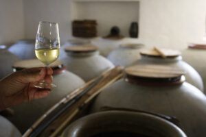 La Diputación de Córdoba presentará, a través de Europe Direct, los vinos Montilla-Moriles - Gastronomía y Moda