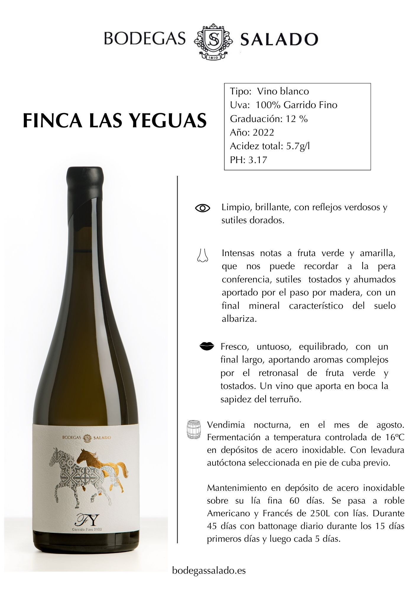 La calidad de los vinos de Bodegas Salado aterrizan en Estados Unidos - Gastronomía y Moda
