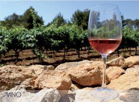 Saborea y degusta Formentera… ¡A través de sus vinos! - Gastronomía y Moda