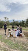 Alevoo, el AOVE y los cosméticos que triunfan fuera de nuestras fronteras - Gastronomía y Moda