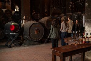 Fundador, mejor bodega de España y tercera del mundo en el ranking IWSC Top 50 Wine Producers 2025 - Gastronomía y Moda