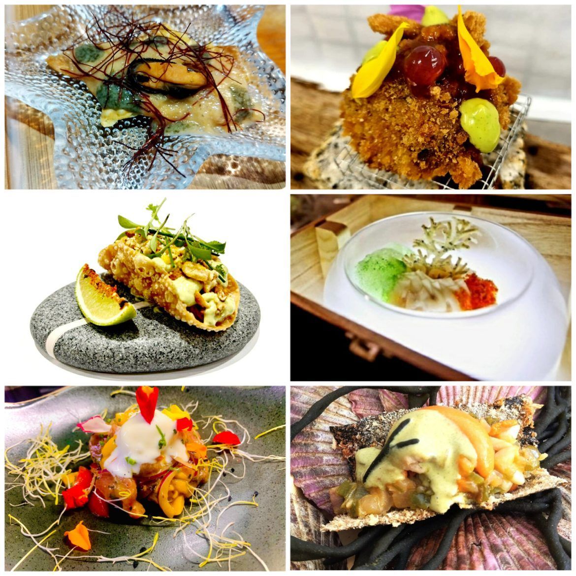 Comienza la II Ruta de Tapas Gallegas donde podrás descubrir nuevas propuestas de gastronomía en miniatura Comienza la II Ruta de Tapas Gallegas donde podrás descubrir las nuevas propuestas de gastronomía en miniatura - Gastronomía y Moda