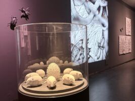 Un gabinete para el caos. Ana Juan en CentroCentro - Gastronomía y Moda