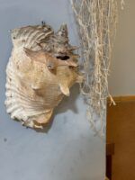 Restaurante Amarra, un pedacito de Sanlúcar de Barrameda en Sevilla - Gastronomía y Moda