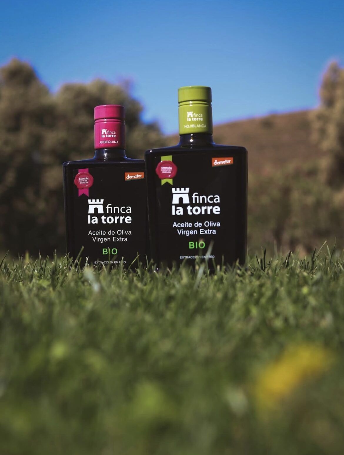 Finca La Torre, el aceite de oliva virgen extra de Málaga que conquista el mundo con su calidad y tradición - Gastronomía y Moda