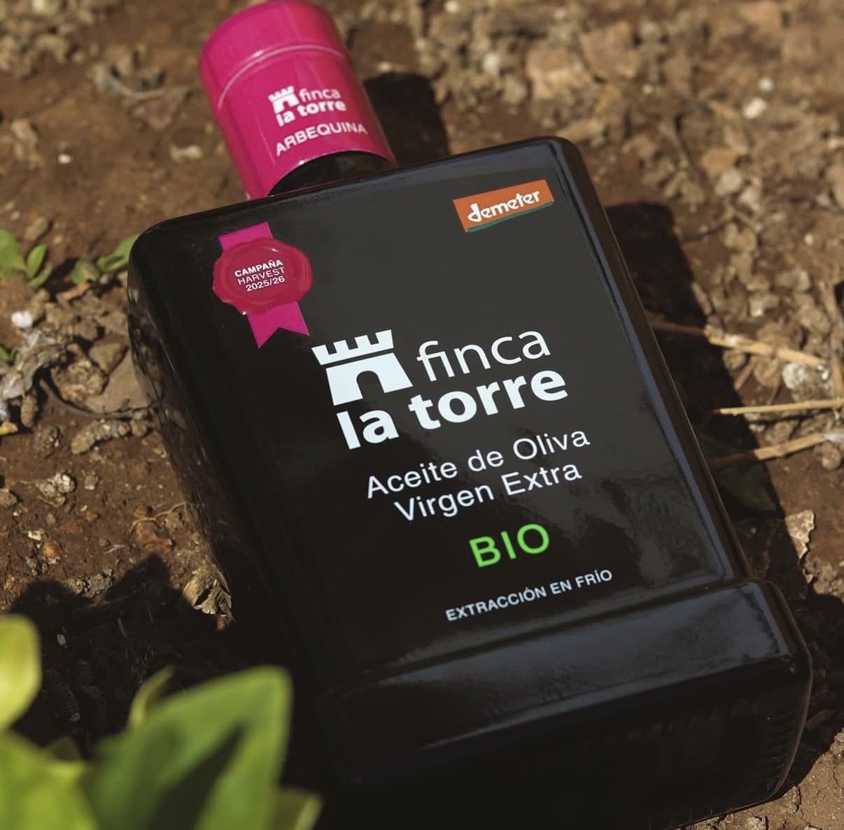 Finca La Torre, el aceite de oliva virgen extra de Málaga que conquista el mundo con su calidad y tradición - Gastronomía y Moda