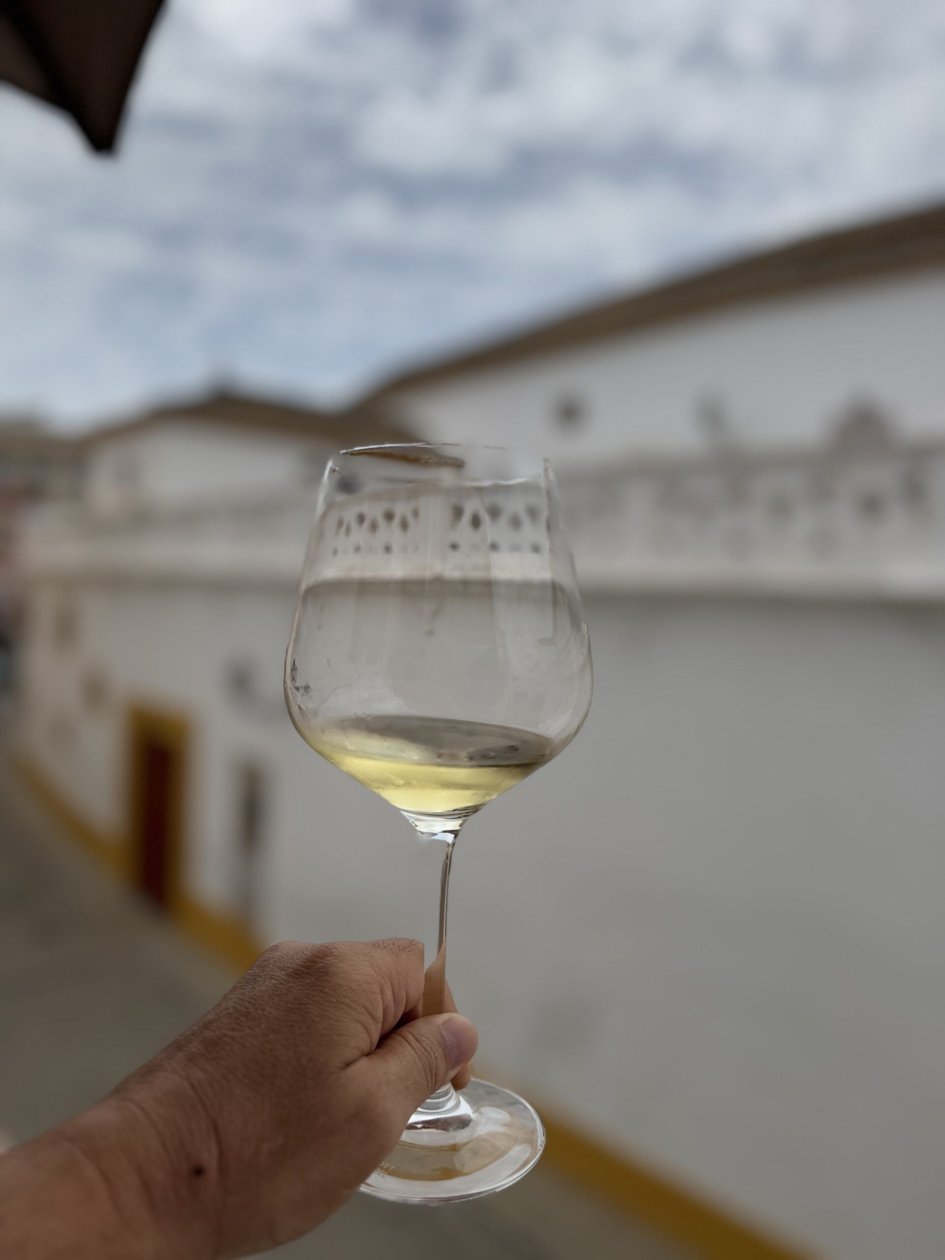Malandro cumple un año con mucho ritmo, fuego y sabores en perfecta armonía - Gastronomía y Moda