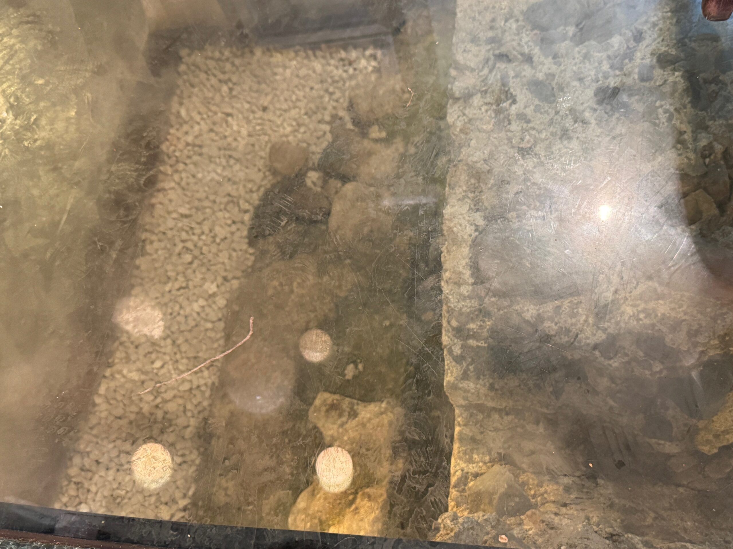 La Cueva de 1900, parada indispensable de camino a la Alhambra - Gastronomía y Moda