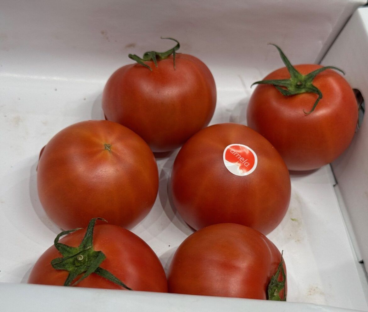 Amela, el tomate que marca un antes y un después en sabor Amela, el tomate que marca un antes y un después en sabor - Gastronomía y Moda