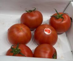 Amela, el tomate que marca un antes y un después en sabor - Gastronomía y Moda
