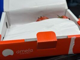 Amela, el tomate que marca un antes y un después en sabor - Gastronomía y Moda