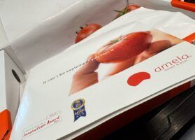 Amela, el tomate que marca un antes y un después en sabor - Gastronomía y Moda