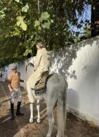 La boda India 'a caballo' en Sevilla - Gastronomía y Moda