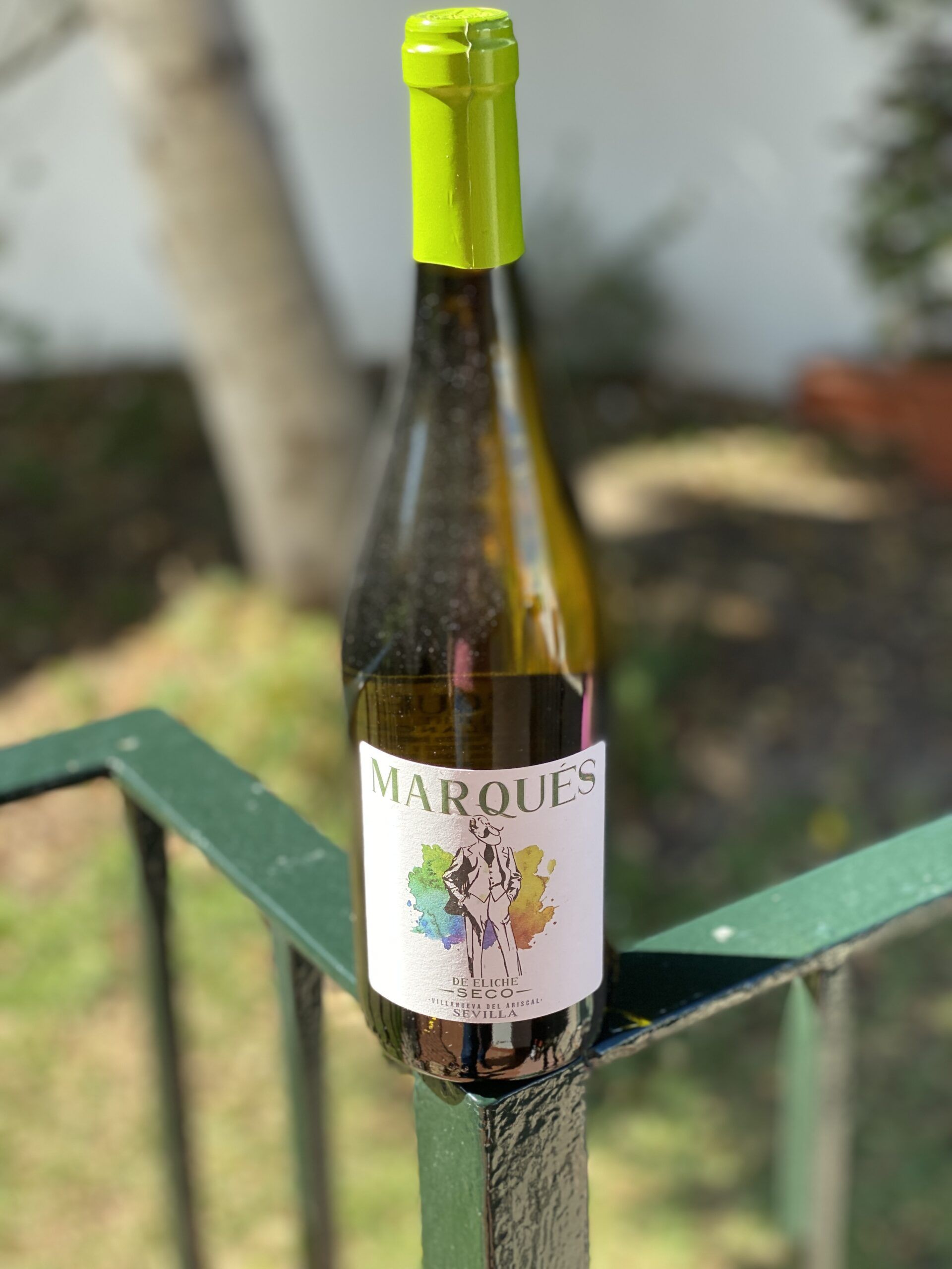 Los vinos y el vermouth de Bodegas Góngora que no pueden faltar en tu mesa - Gastronomía y Moda