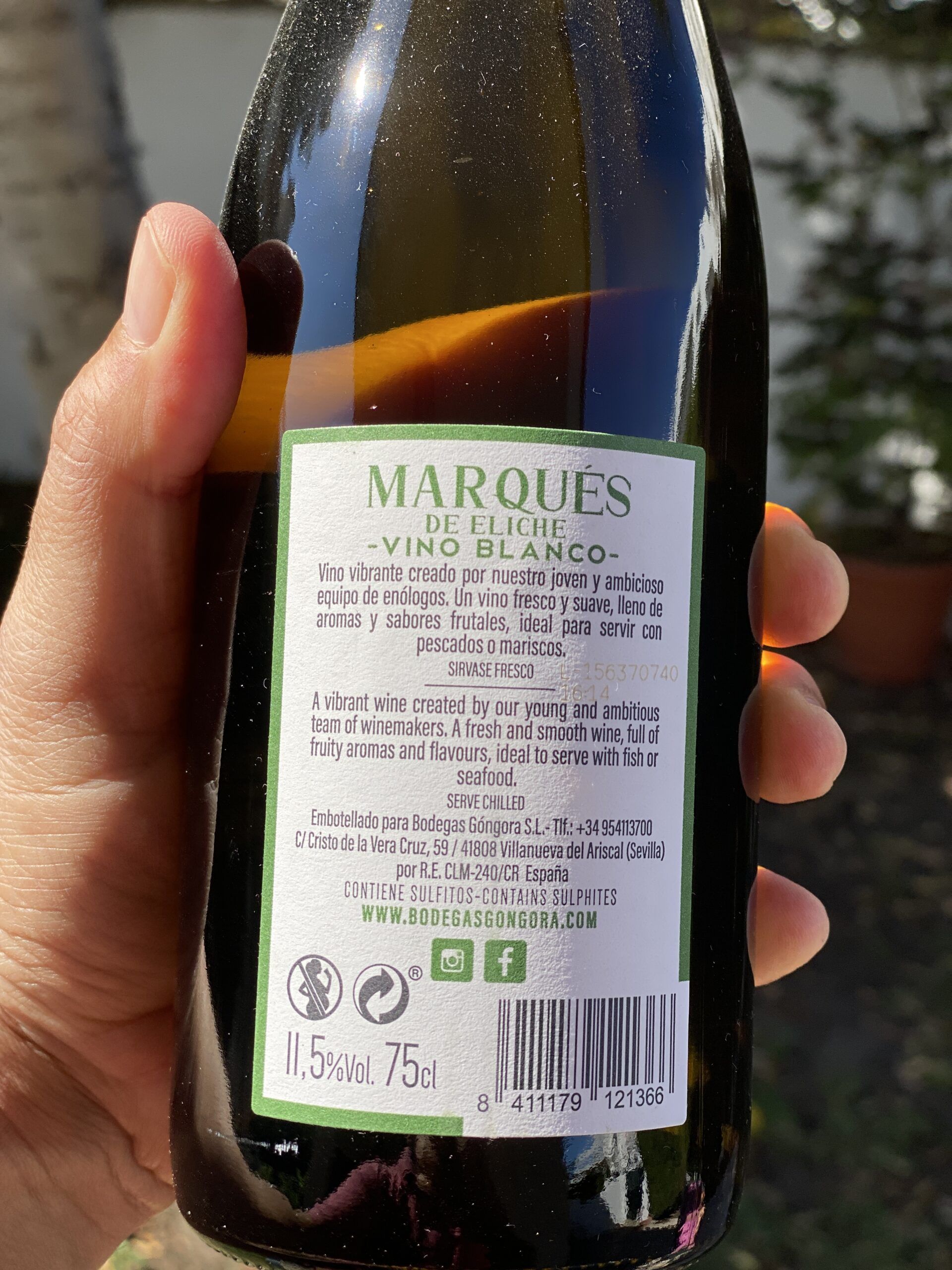 Los vinos y el vermouth de Bodegas Góngora que no pueden faltar en tu mesa - Gastronomía y Moda