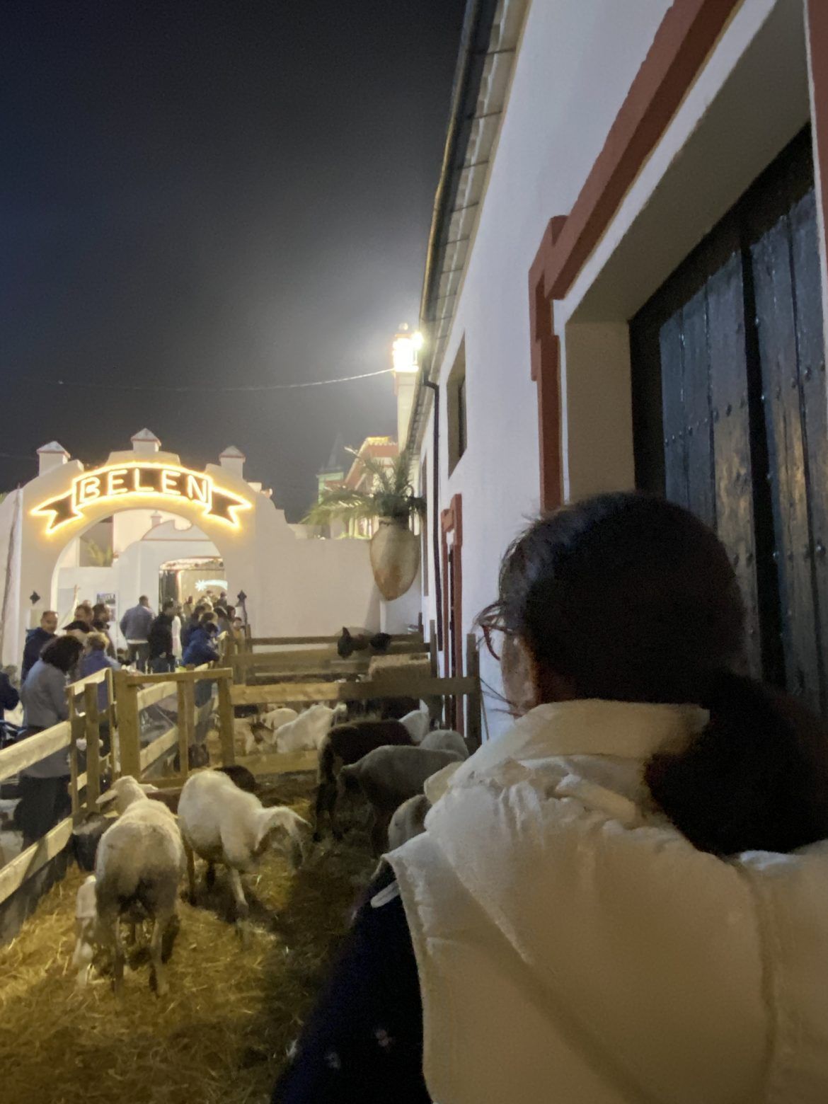 Disfruta las mejores navidades en Gines - Gastronomía y Moda