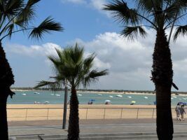 Malandar Burger, el lujo de tomarte una hamburguesa con las mejores vistas al Coto de Doñana - Gastronomía y Moda