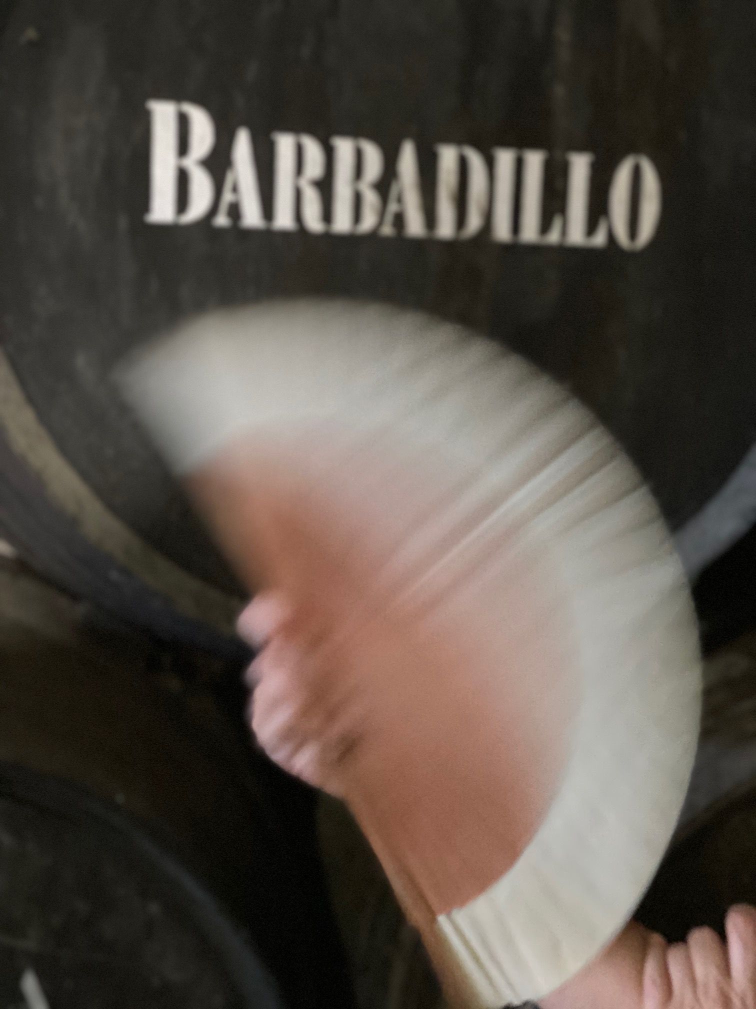 Sanlúcar de Barrameda, Jerez de la Frontera y Cádiz by #AndalucíaDespierta - Gastronomía y Moda