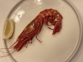El mejor carabinero de Sevilla: mi experiencia en Casa Robles - Gastronomía y Moda